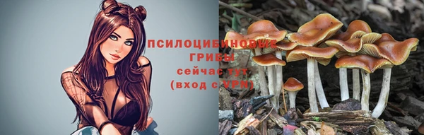 СК Дмитров