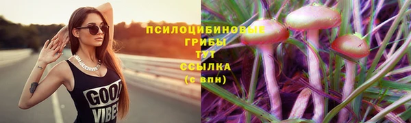СК Дмитров