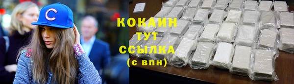 СК Дмитров
