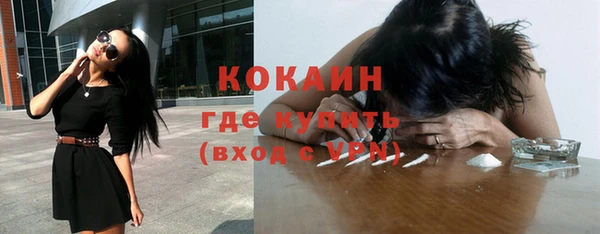 винт Дмитриев
