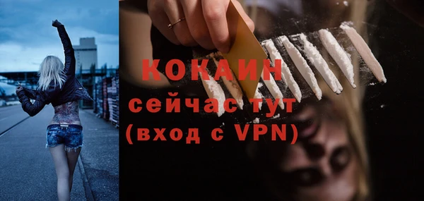 СК Дмитров