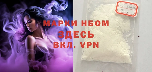 СК Дмитров