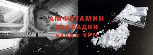 СК Дмитров