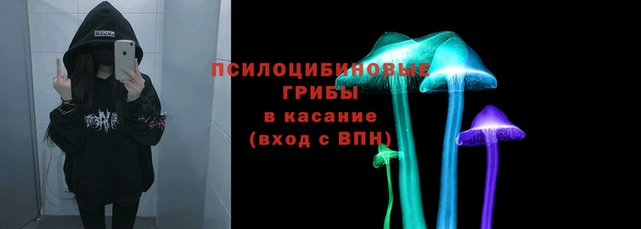 СК Дмитров