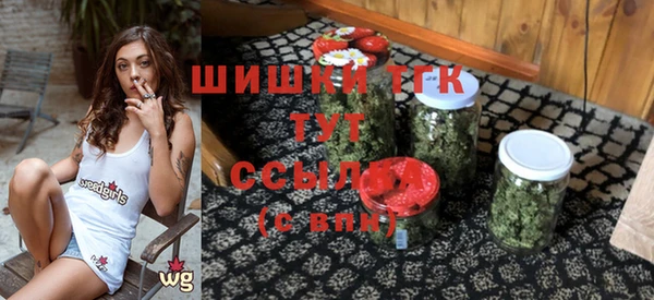 винт Дмитриев