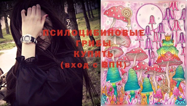 СК Дмитров