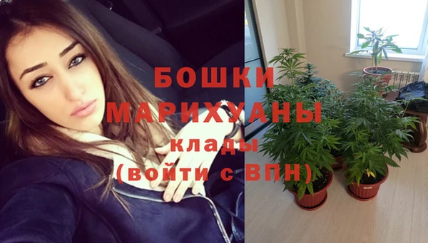 винт Дмитриев