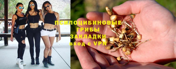 винт Дмитриев