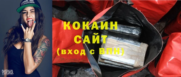 СК Дмитров