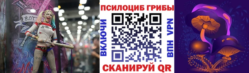 мега   Каменногорск  Псилоцибиновые грибы мицелий  даркнет сайт 