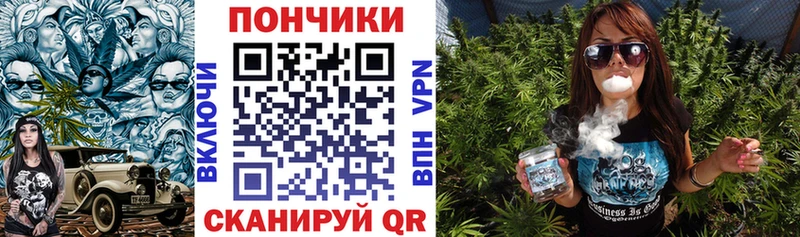 Канабис план Каменногорск